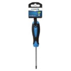 Wkrętak torx T15 100 mm stal S2