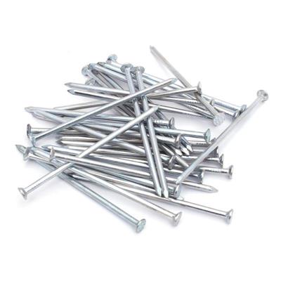 Gwoździe budowlane ocynkowane 2,0x40 (1 kg)